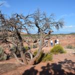 OTRA2013_2061 (July 21, 2013)